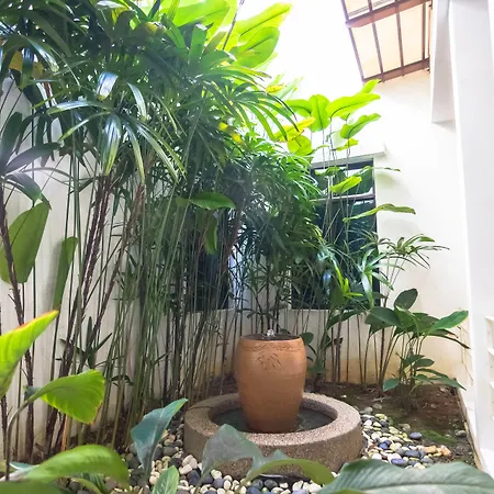 Hotel Sunflower - Hls-3